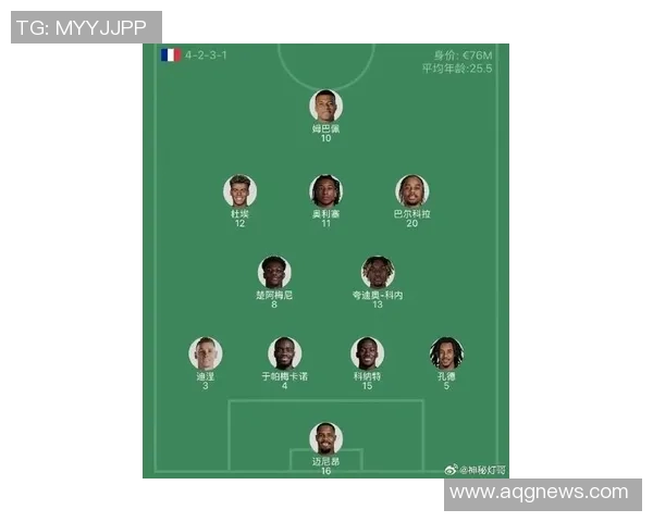 法国足球头牌球星排名解析 谁是目前最具影响力的法国球员